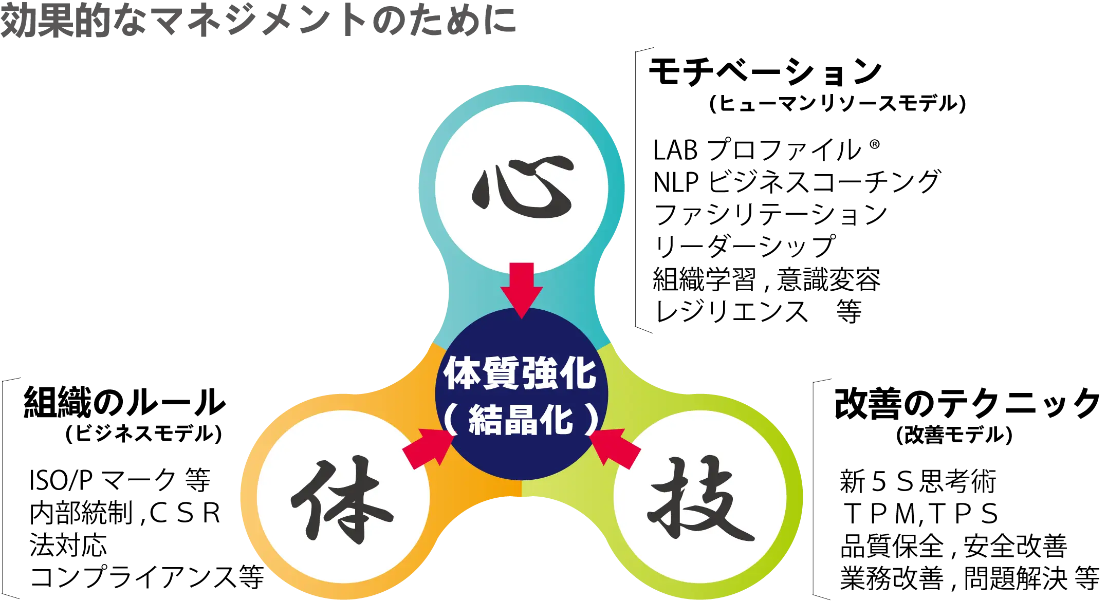 ナレッジリーンのコンサルティング支援の特徴